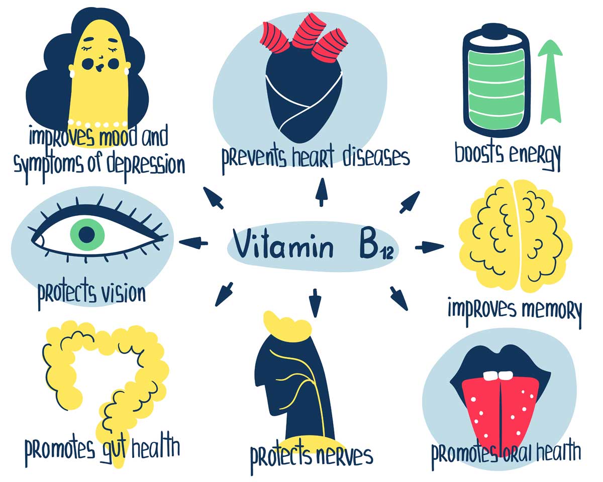 chart showing the benefits of vitamin b12.