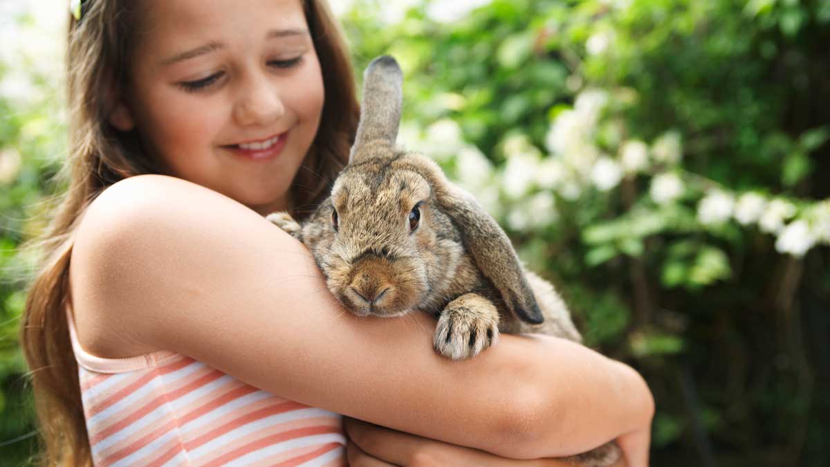 A young girl holding a bunny rabbit.