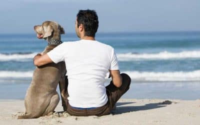 A man hugging his dog while sitting on a beach.