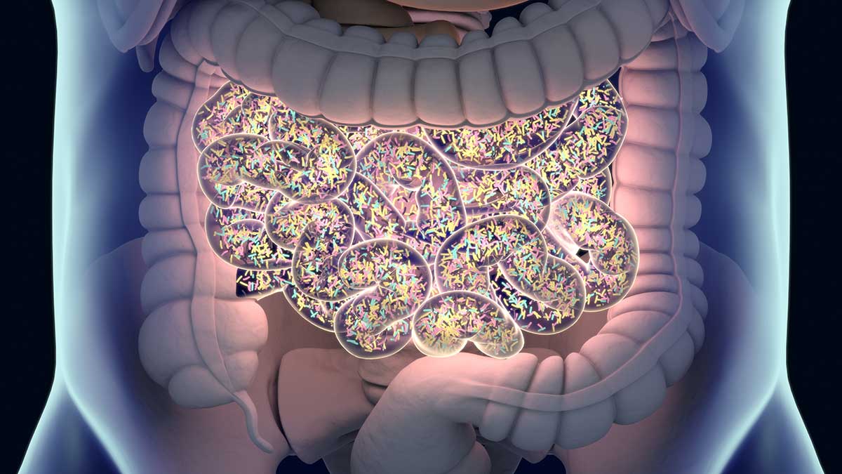 3D illustration of gut bacteria, gut flora, microbiome and bacteria inside the small intestine