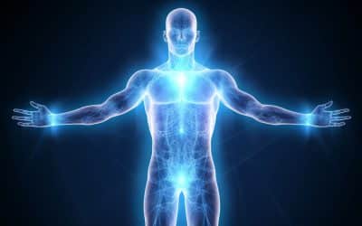 A glowing blue outline of a human figure stands against a dark background, with arms extended sideways. The image, a musing on the Body Divine, highlights internal body systems, resembling a digital representation.